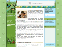 Tablet Screenshot of daijiro-katoh.memory-of.com