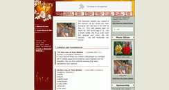 Desktop Screenshot of janebuchanan.memory-of.com
